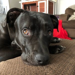 Meet your Posher, Kevin